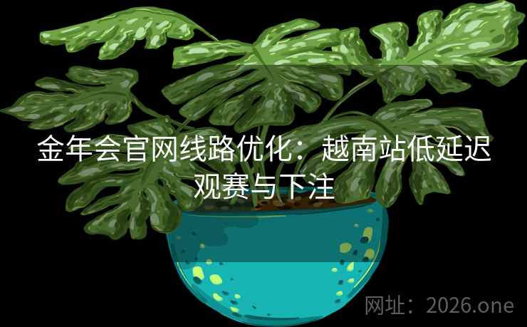 金年会官网线路优化：越南站低延迟观赛与下注