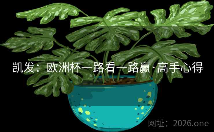 凯发：欧洲杯一路看一路赢·高手心得