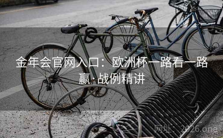 金年会官网入口：欧洲杯一路看一路赢·战例精讲
