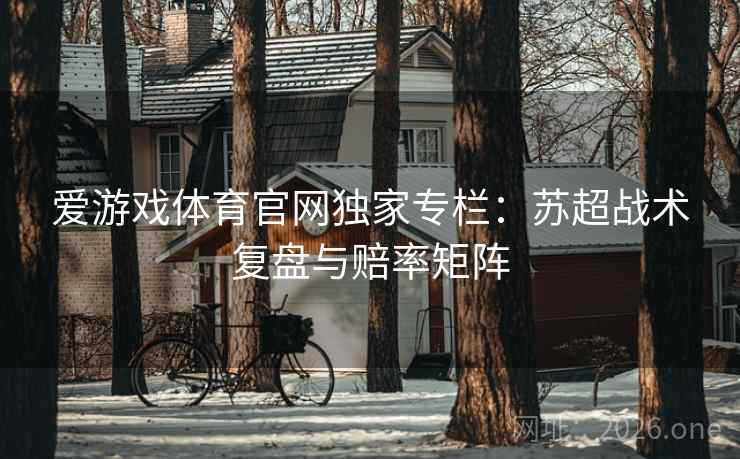 爱游戏体育官网独家专栏：苏超战术复盘与赔率矩阵