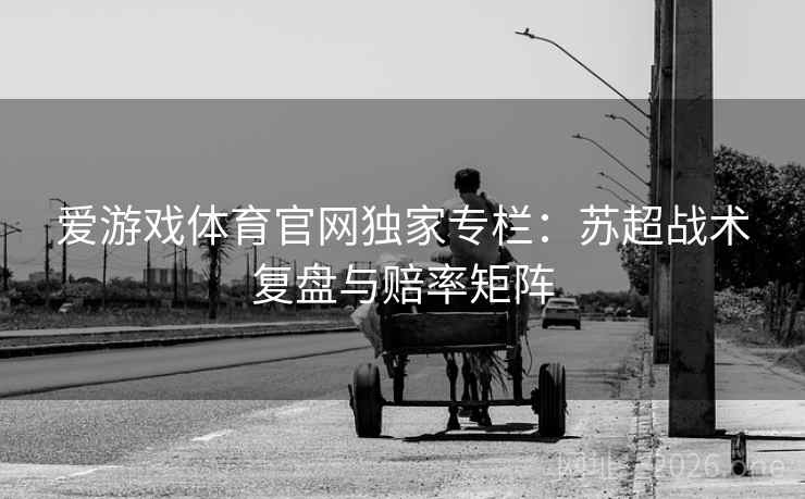 爱游戏体育官网独家专栏：苏超战术复盘与赔率矩阵