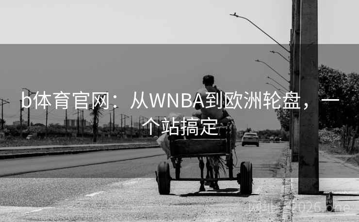 b体育官网：从WNBA到欧洲轮盘，一个站搞定